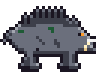 A grey-backed boar with tusks.